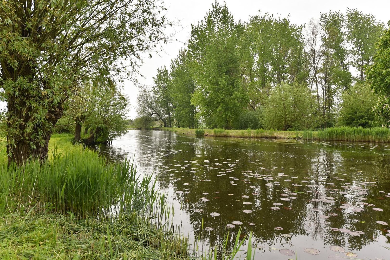 Winkeldijk 30 B-9, Abcoude foto-20 blur