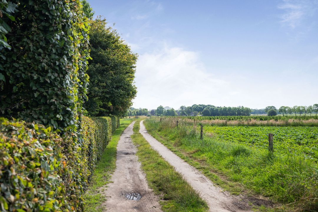 Martenshofstede 36, Vaassen foto-3