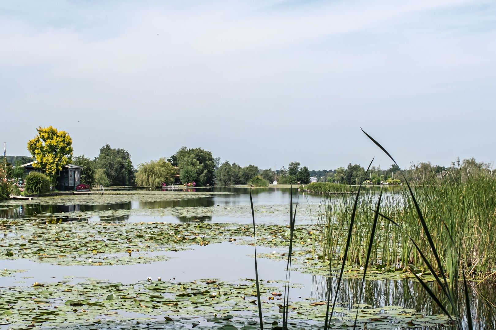 De Plassen Noord 262, Breukelen foto-35