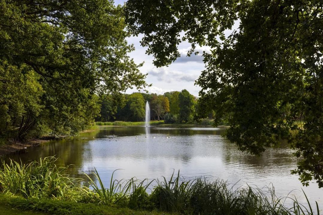 Lookersdijk 2 image thumbs 1