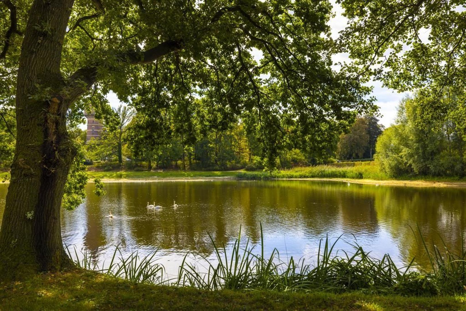 Lookersdijk 2 image 1
