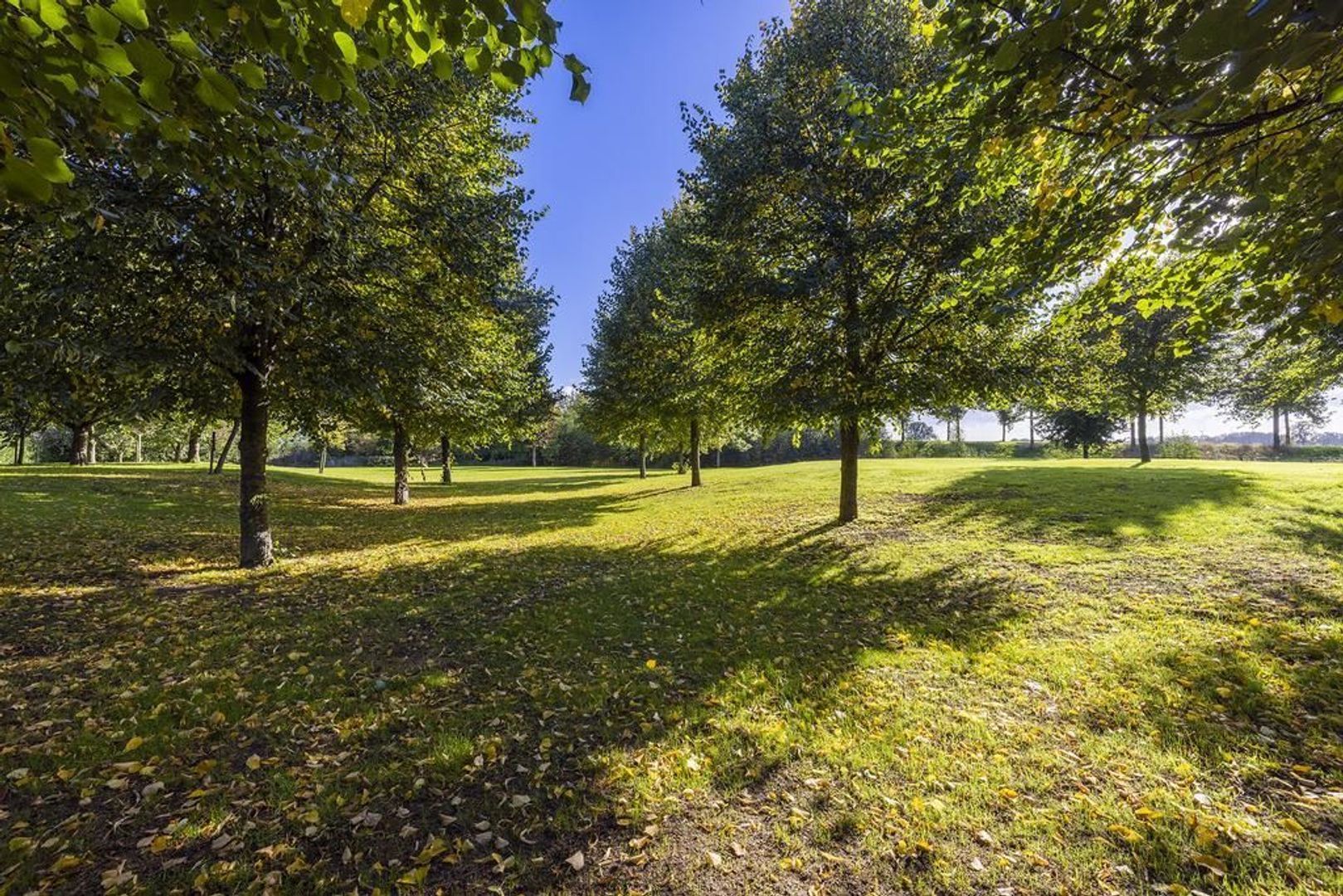 Vinkwijk 7 image 1