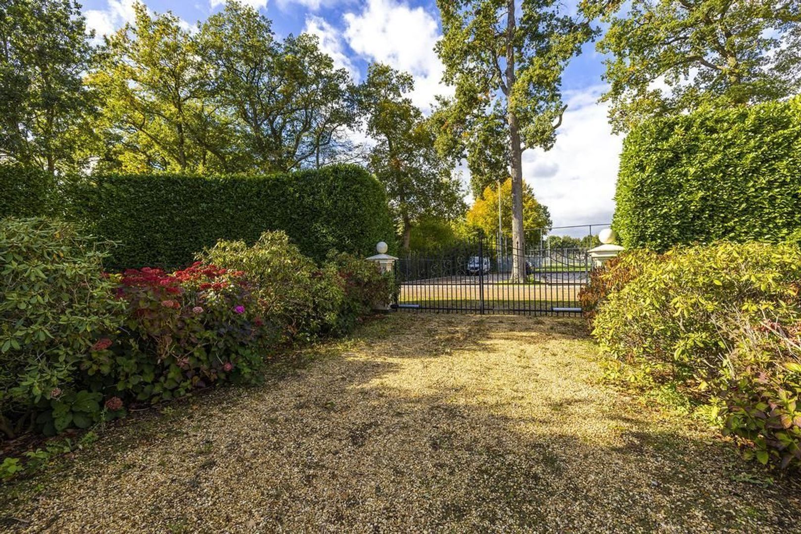 Vinkwijk 7 image 1