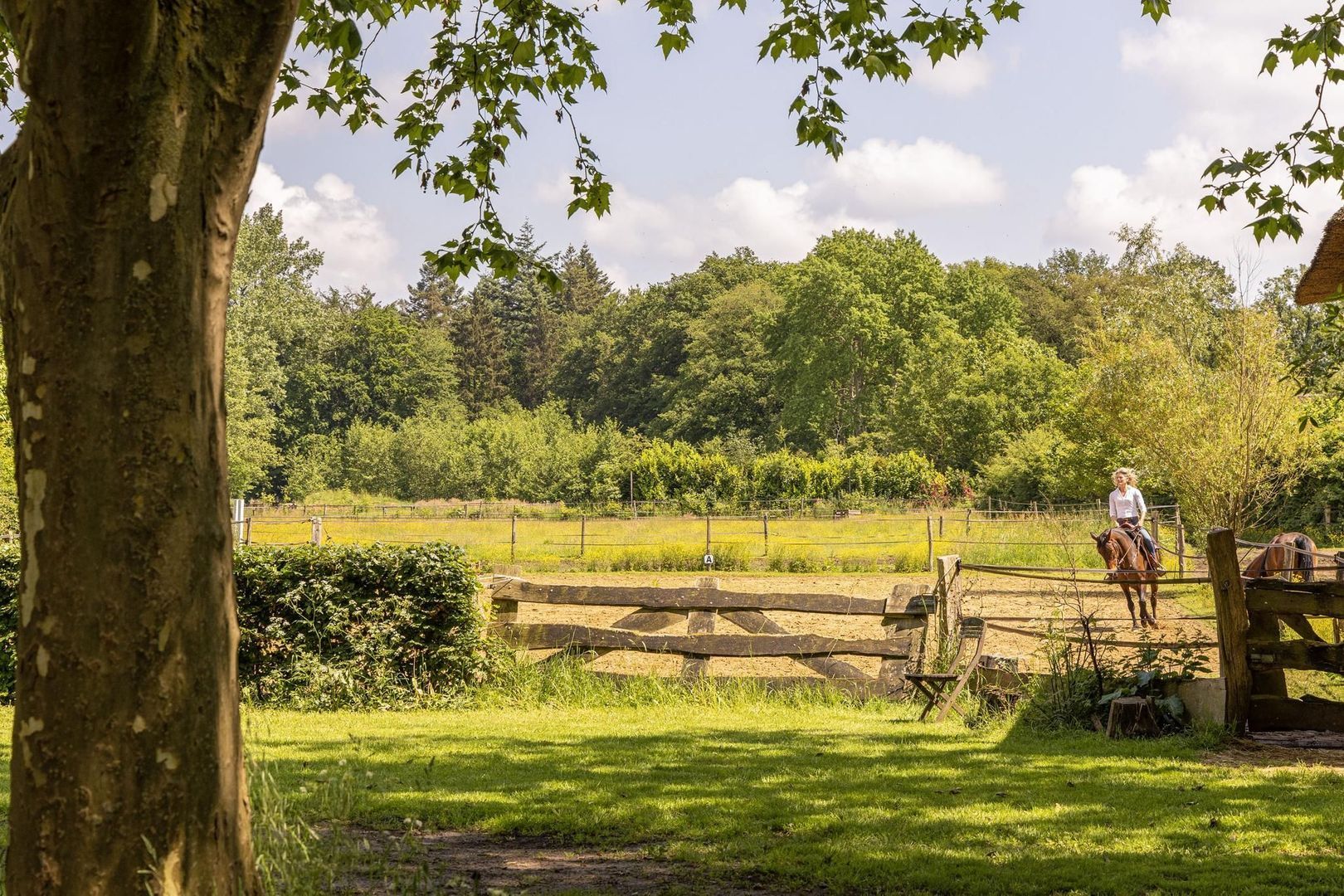 Zomervreugdweg 3 image 1