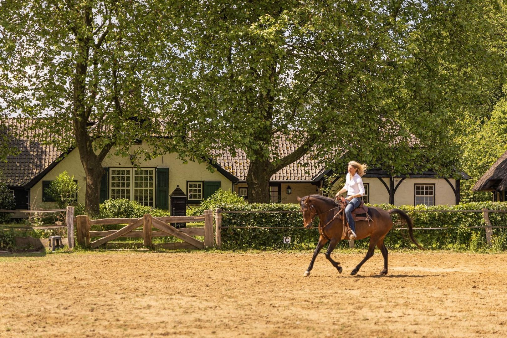 Zomervreugdweg 3 image 1