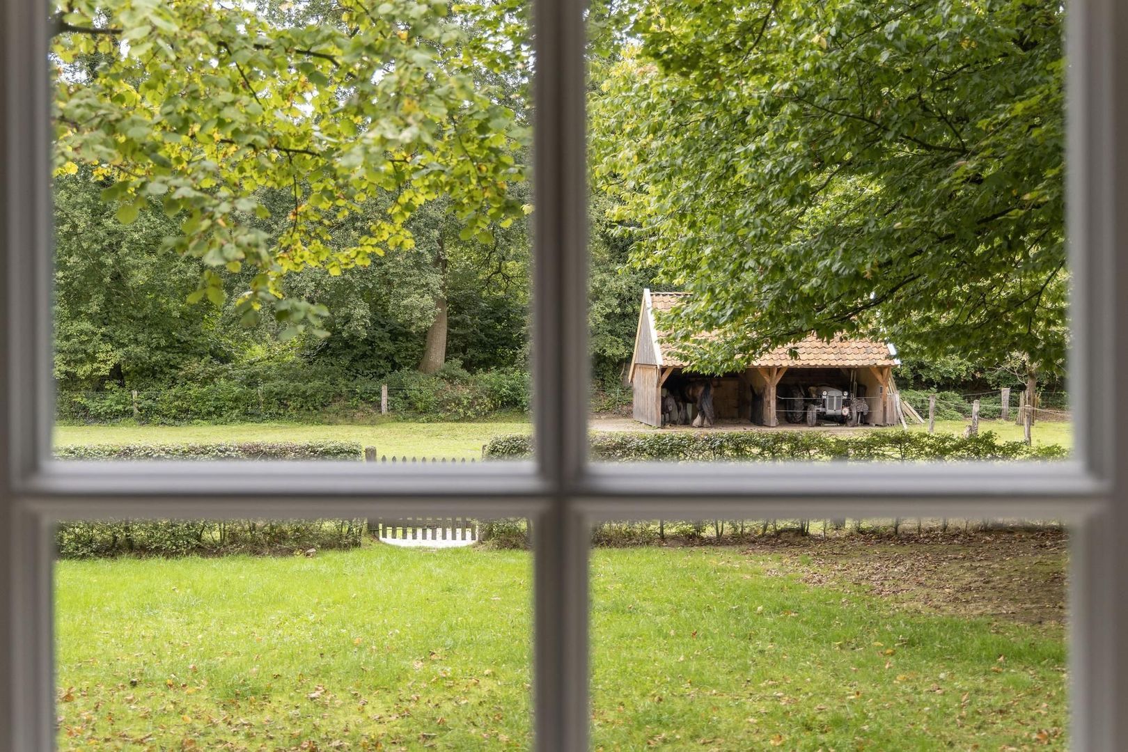 Weerseloseweg 271 image 1