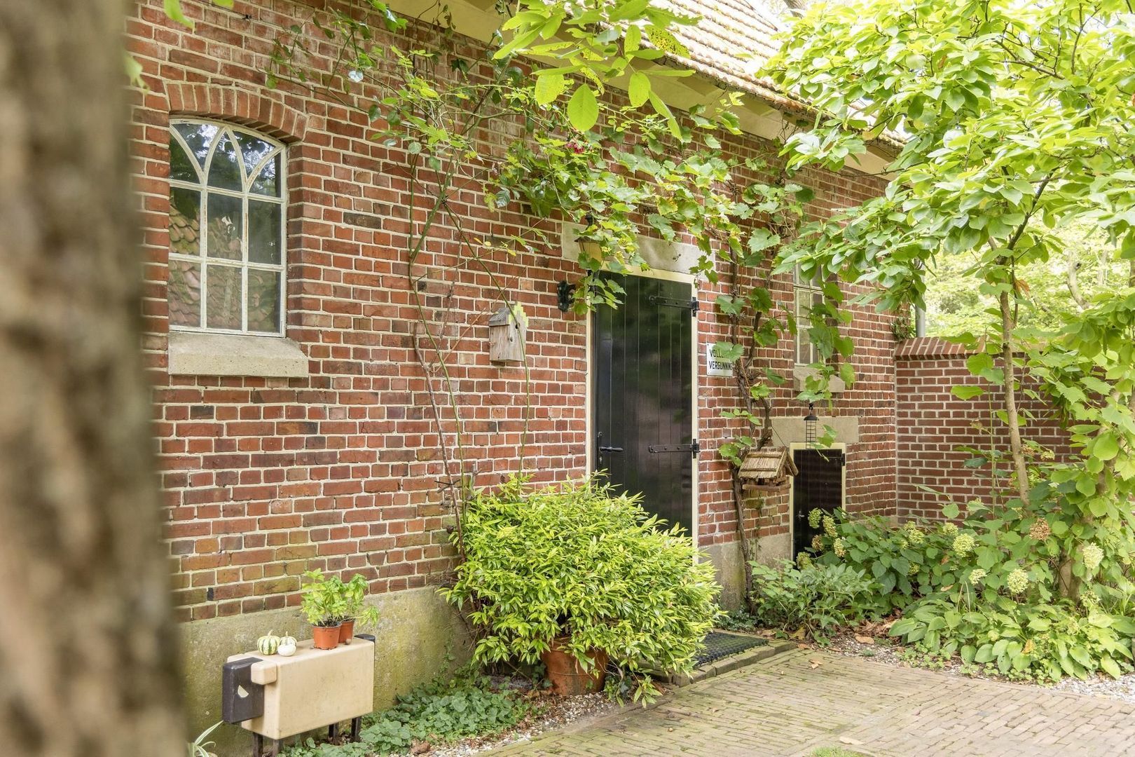Weerseloseweg 271 image 1