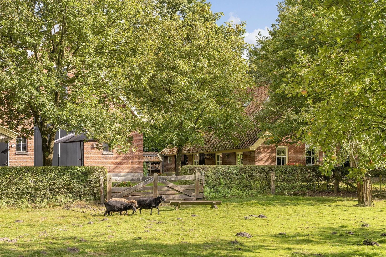 Weerseloseweg 271 image 1