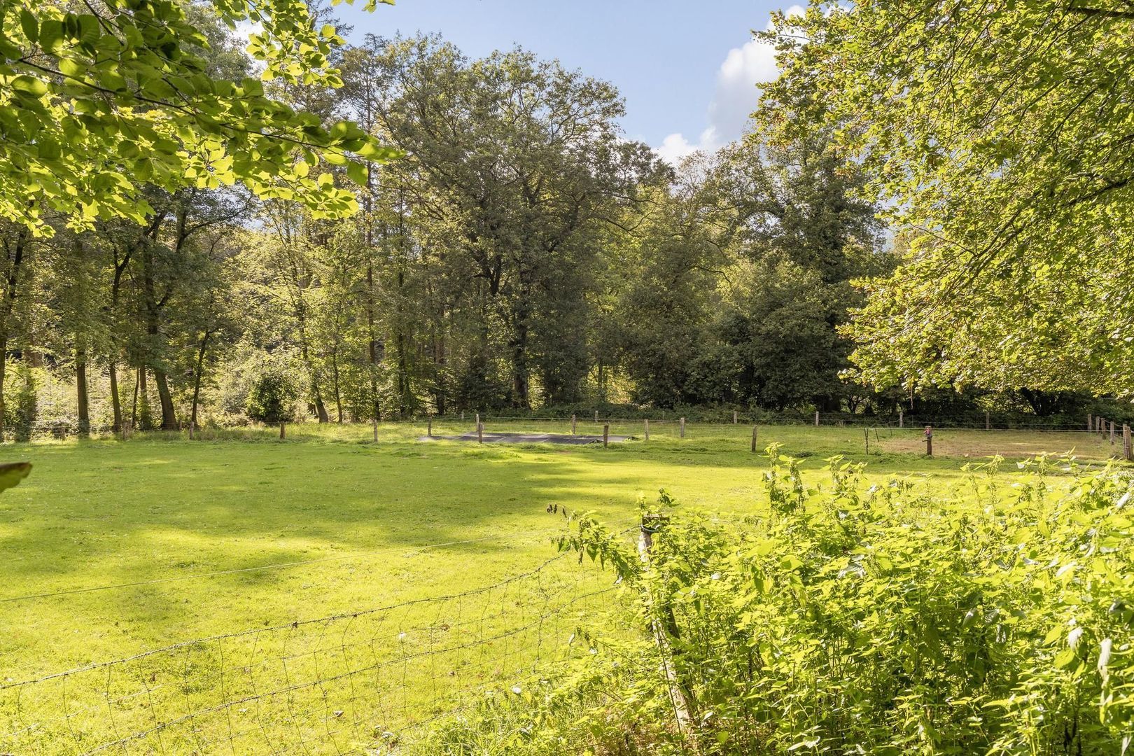 Weerseloseweg 271 image 1