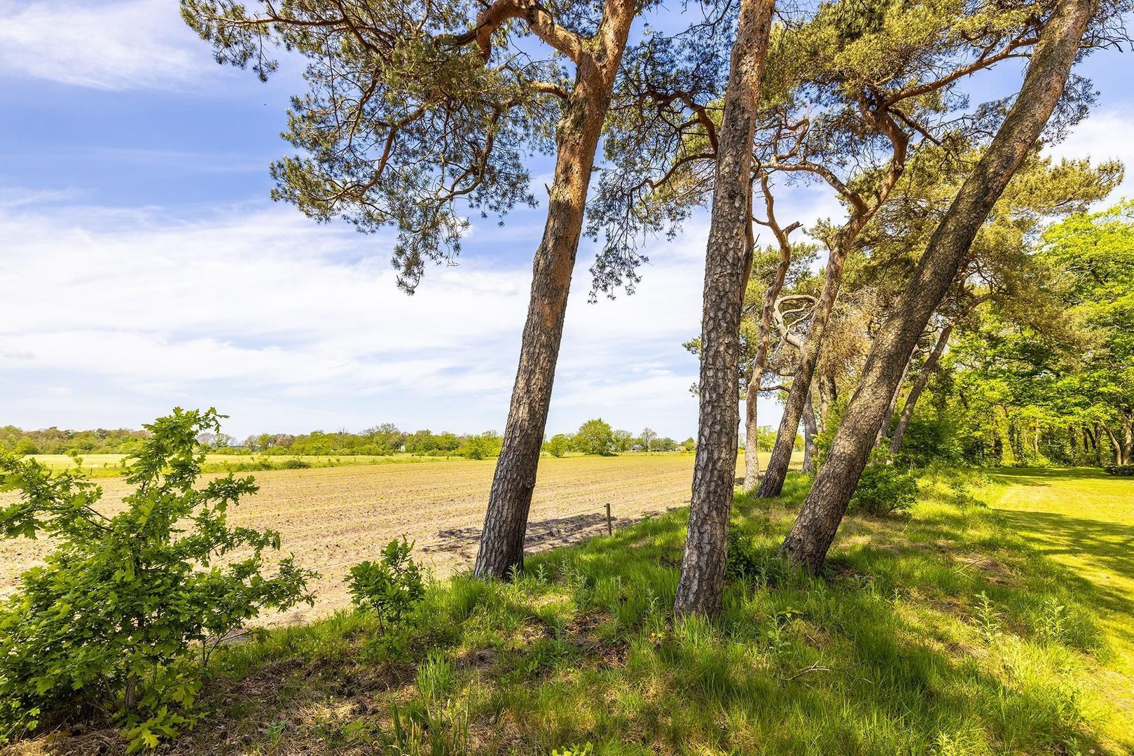 Oude Tolweg 3 image 1