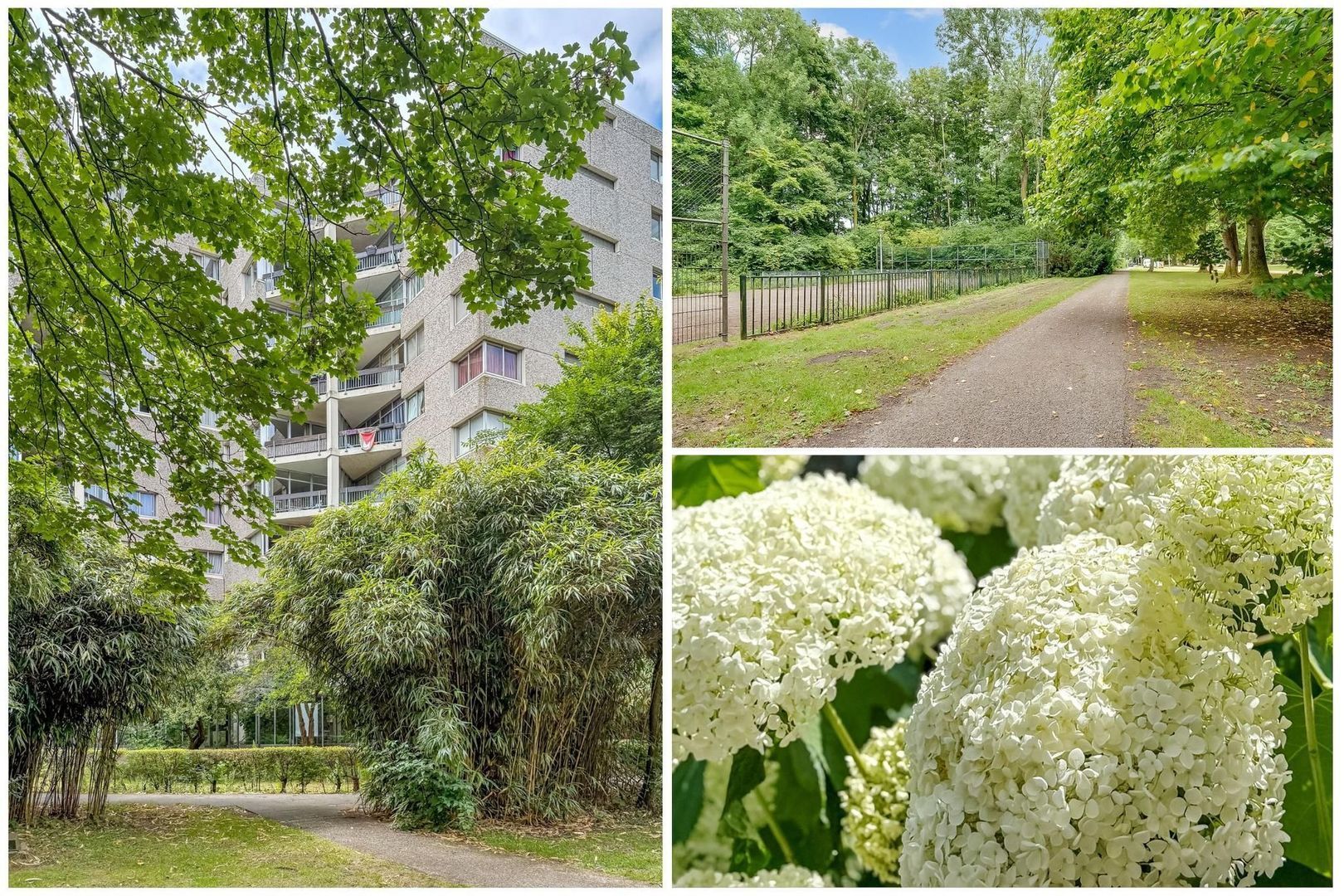 Groenhoven 449, Amsterdam foto-0