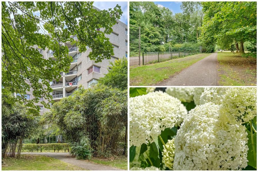 Groenhoven 449, Amsterdam
