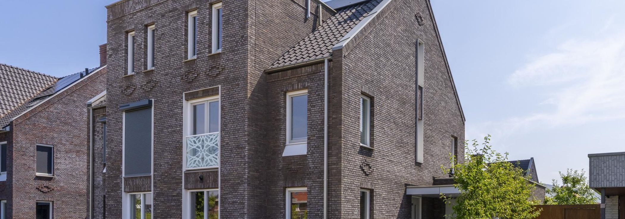 Wilde rijstvliet 100, Utrecht