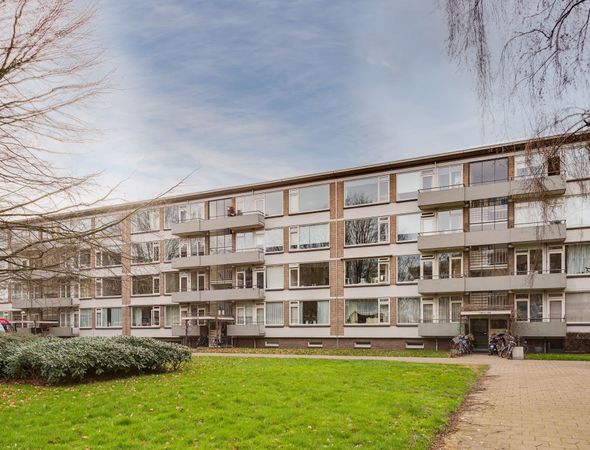 Veldmaarschalk Montgomerylaan, Eindhoven