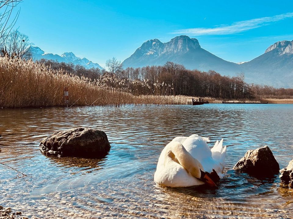 Talloires-Montmin, Talloires-Montmin foto-2