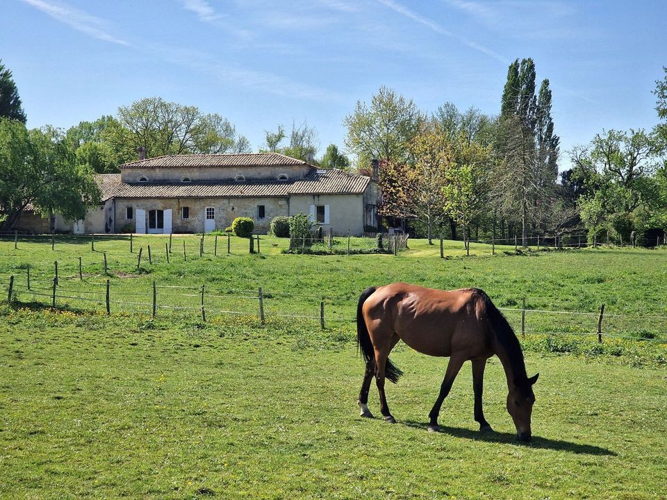 Saint-André-de-Cubzac, Saint-André-de-Cubzac foto-2