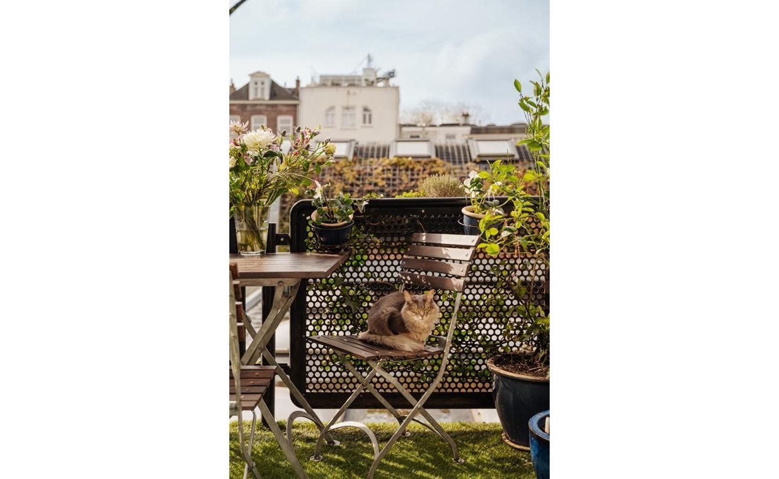 Plantage Doklaan 22 2, Amsterdam foto-20