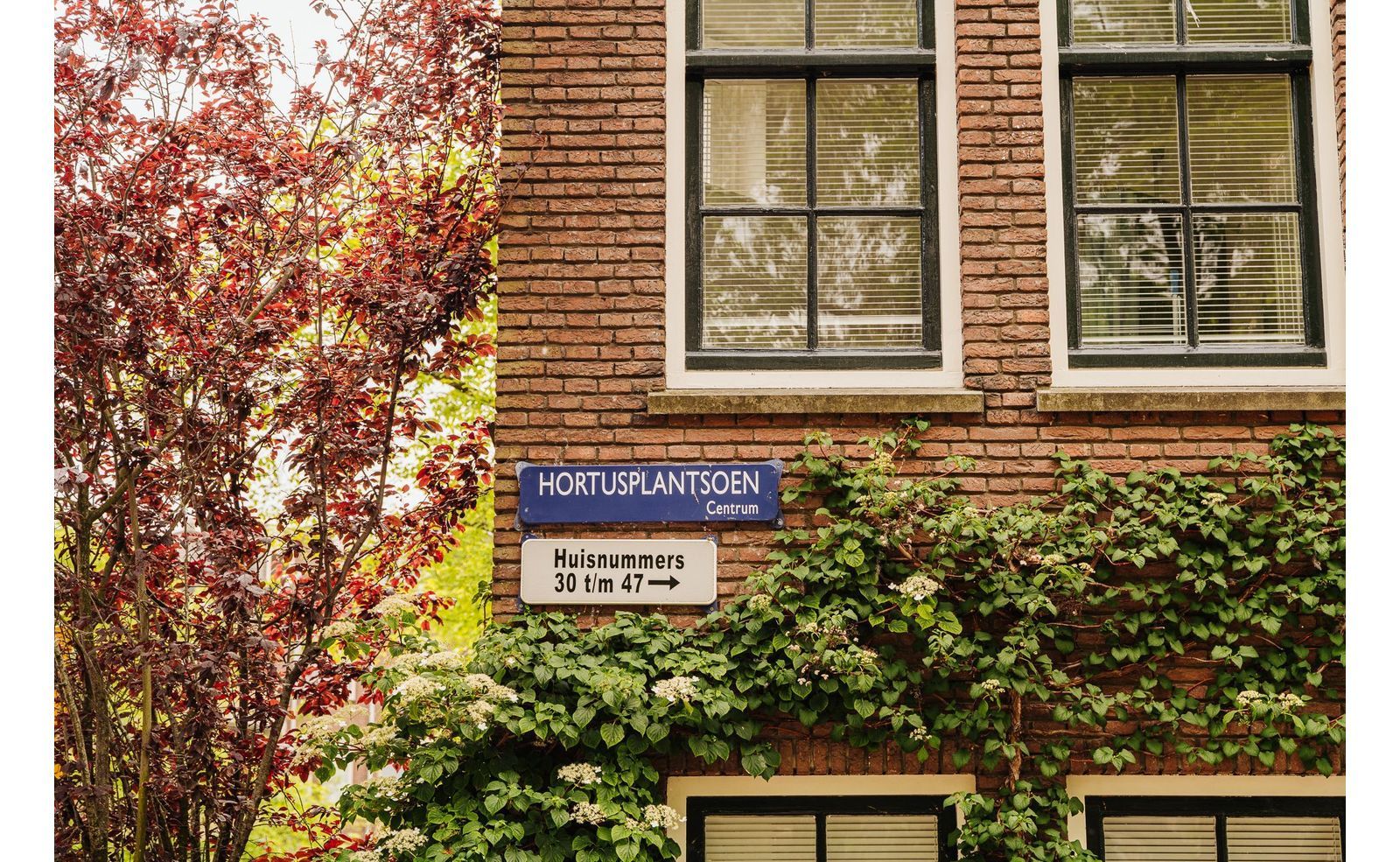 Hortusplantsoen 34, Amsterdam foto-20
