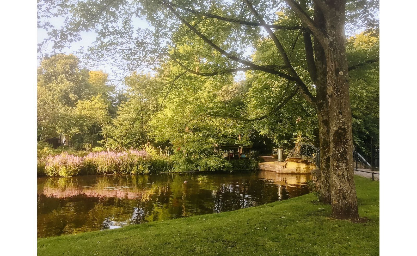 Hortusplantsoen 34, Amsterdam foto-23