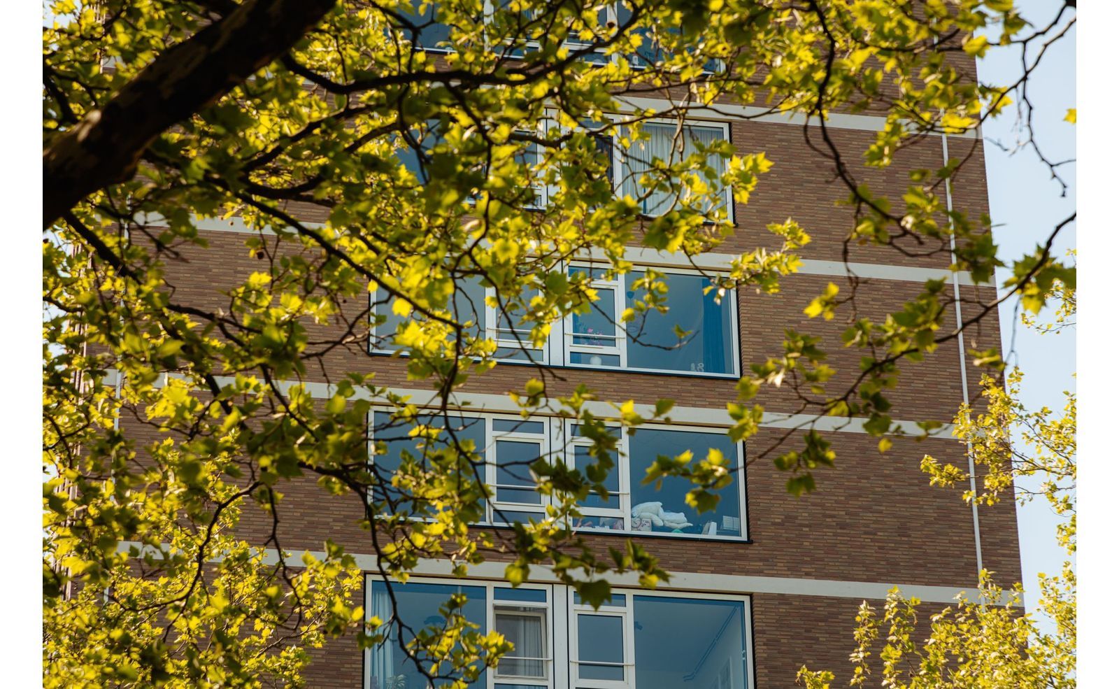 Maassluisstraat 52, Amsterdam foto-16