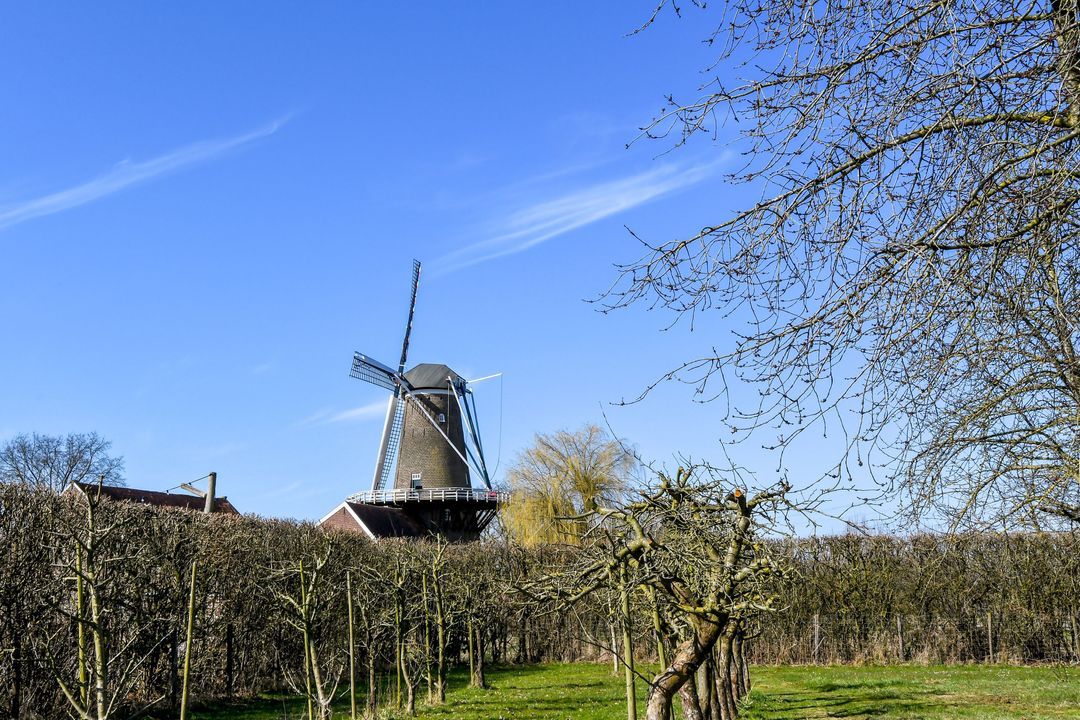 Molendijk 4 image thumbs 1