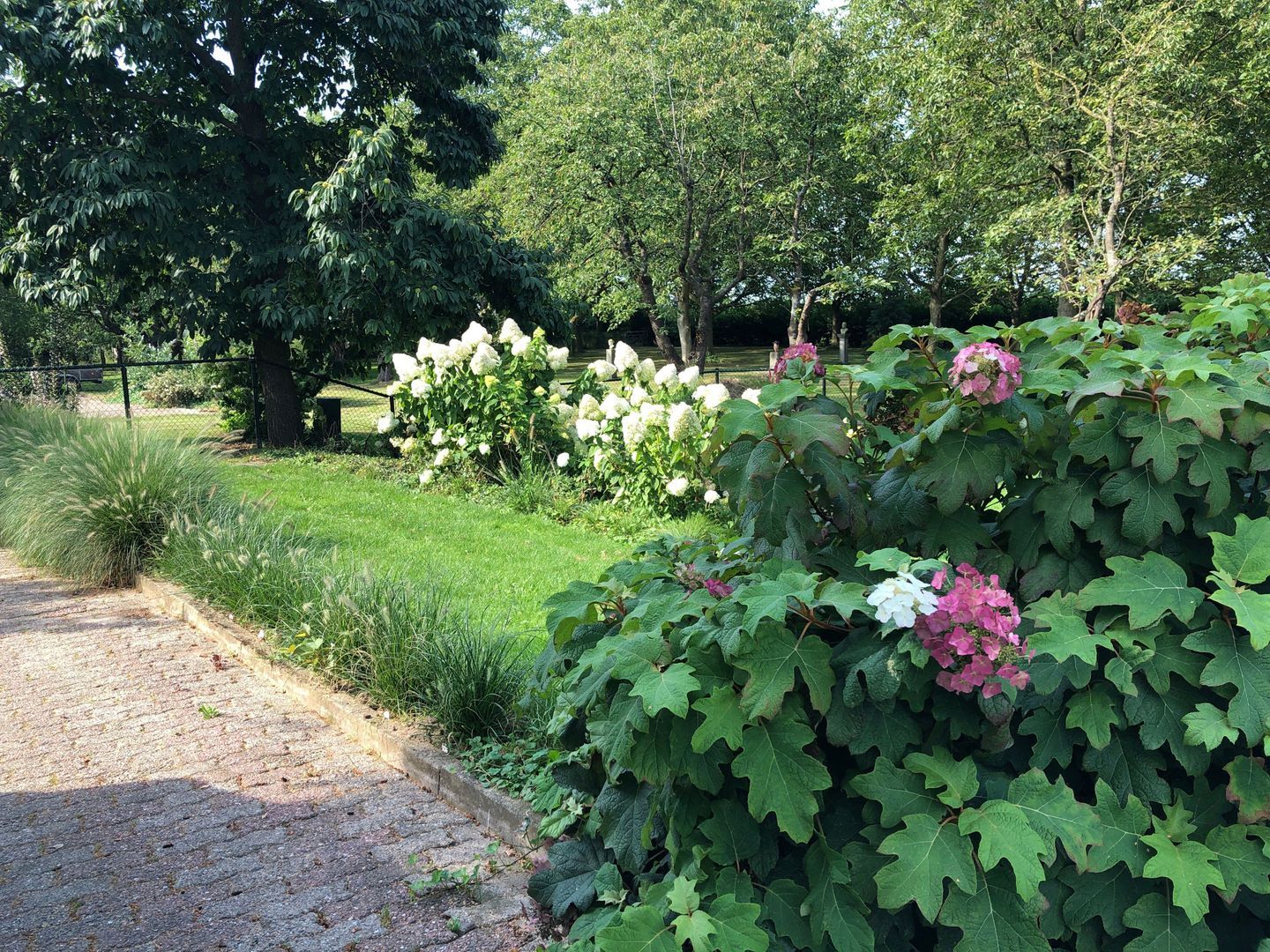 Molendijk 4 image 1