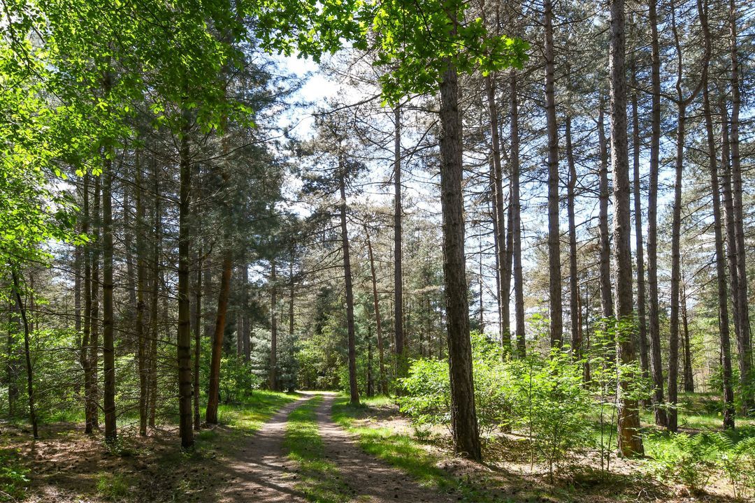 Heugterzijweg 1 image thumbs 1