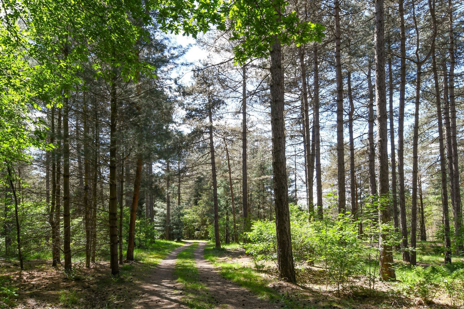 Heugterzijweg 1 image 1