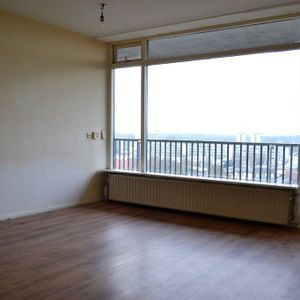 Postelse Hoeflaan 262 Photo 2