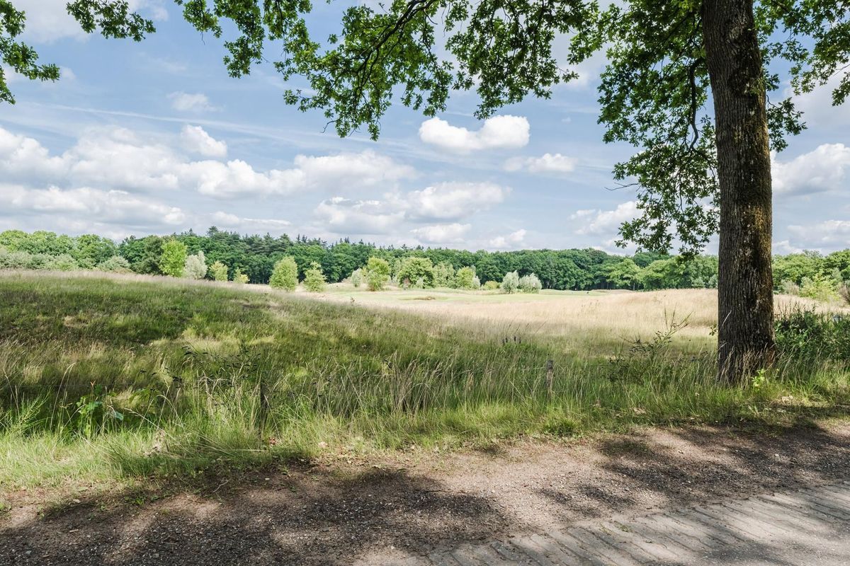 Hispohof - Hilvarenbeek - VERKOOP START eind augustus 2025! Photo Blur 2
