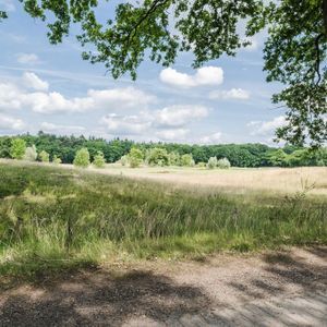Hispohof - Hilvarenbeek - VERKOOP START eind augustus 2025! Photo 2
