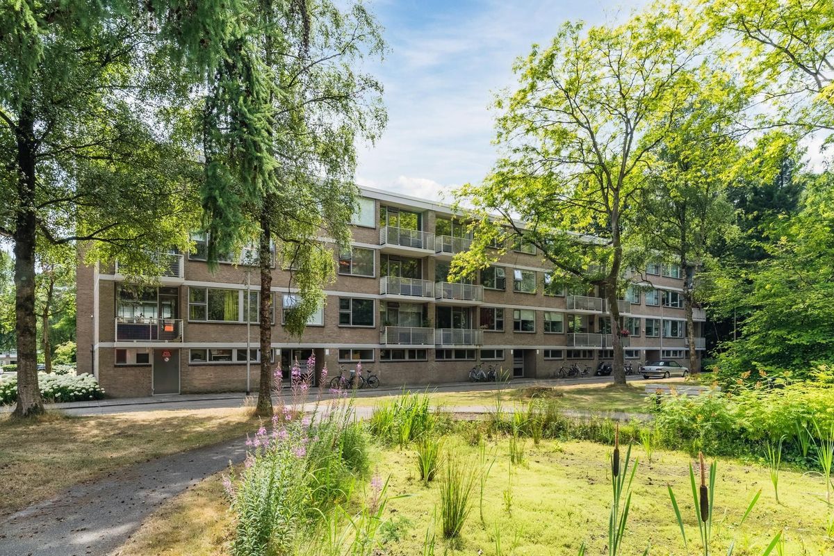 Kasteel Nijenrodestraat 227 Photo Blur 0