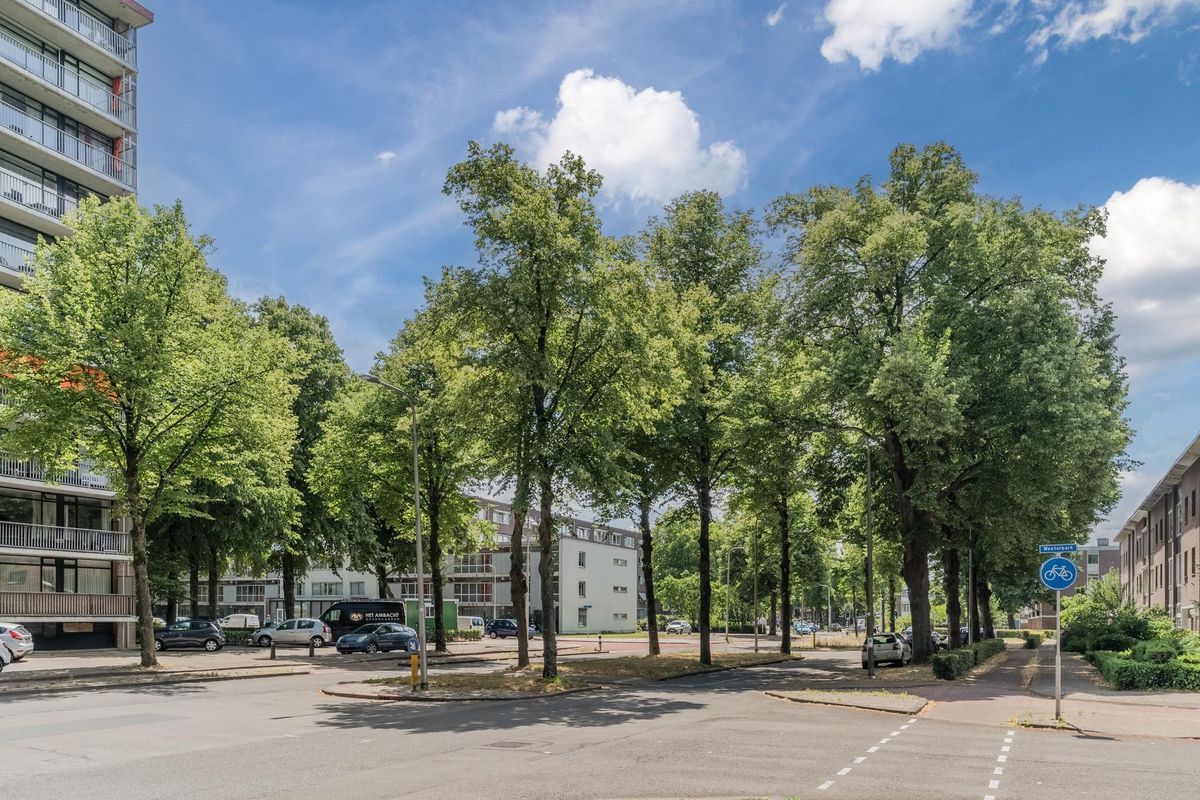 Postelse Hoeflaan 258 Photo Blur 31