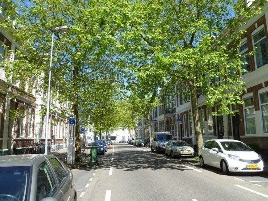 Frans Halsstraat 3B Photo Blur 1
