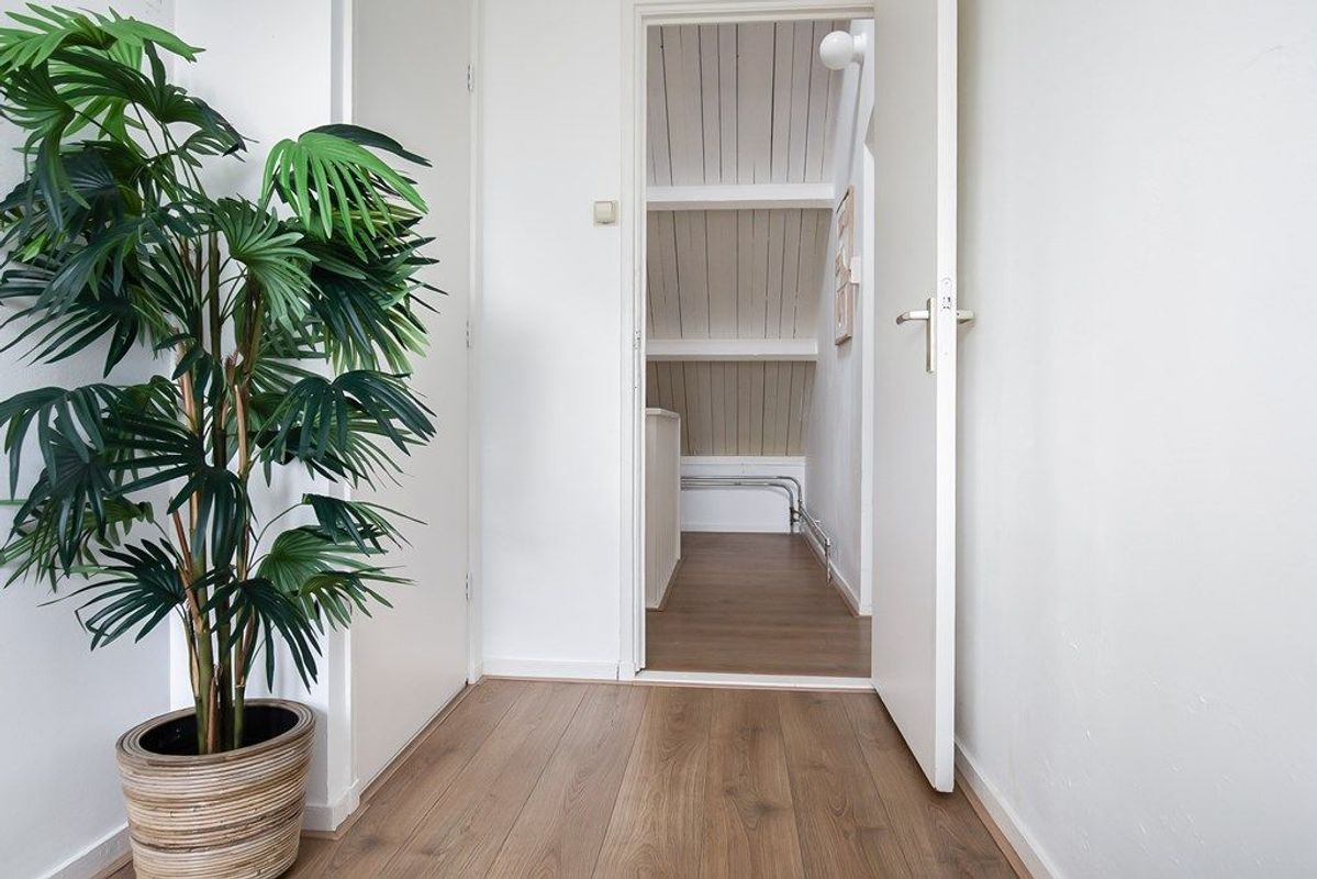 Cremerstraat 56 Photo Blur 22