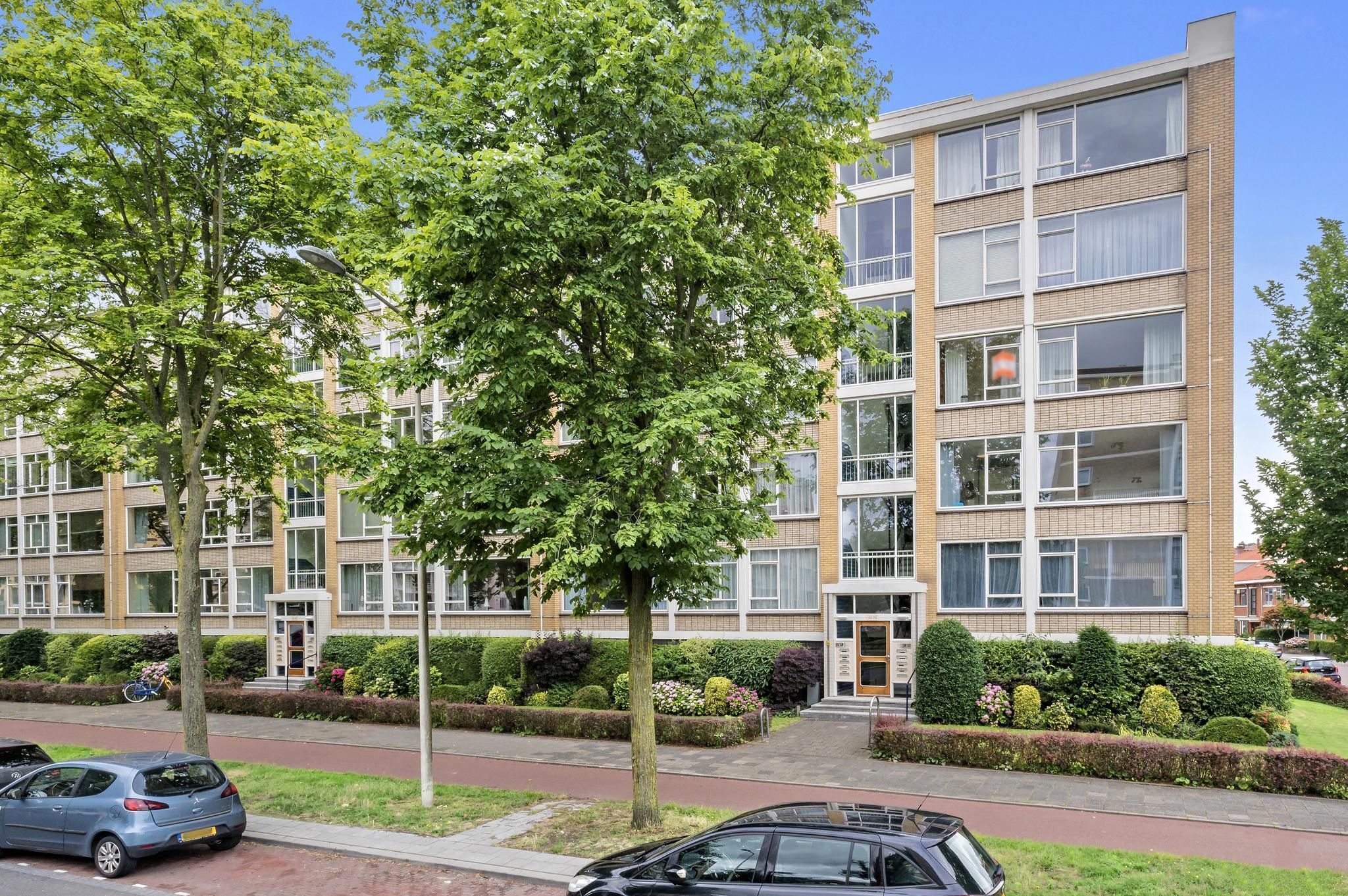 Groen van Prinstererlaan 55 Photo Blur 0