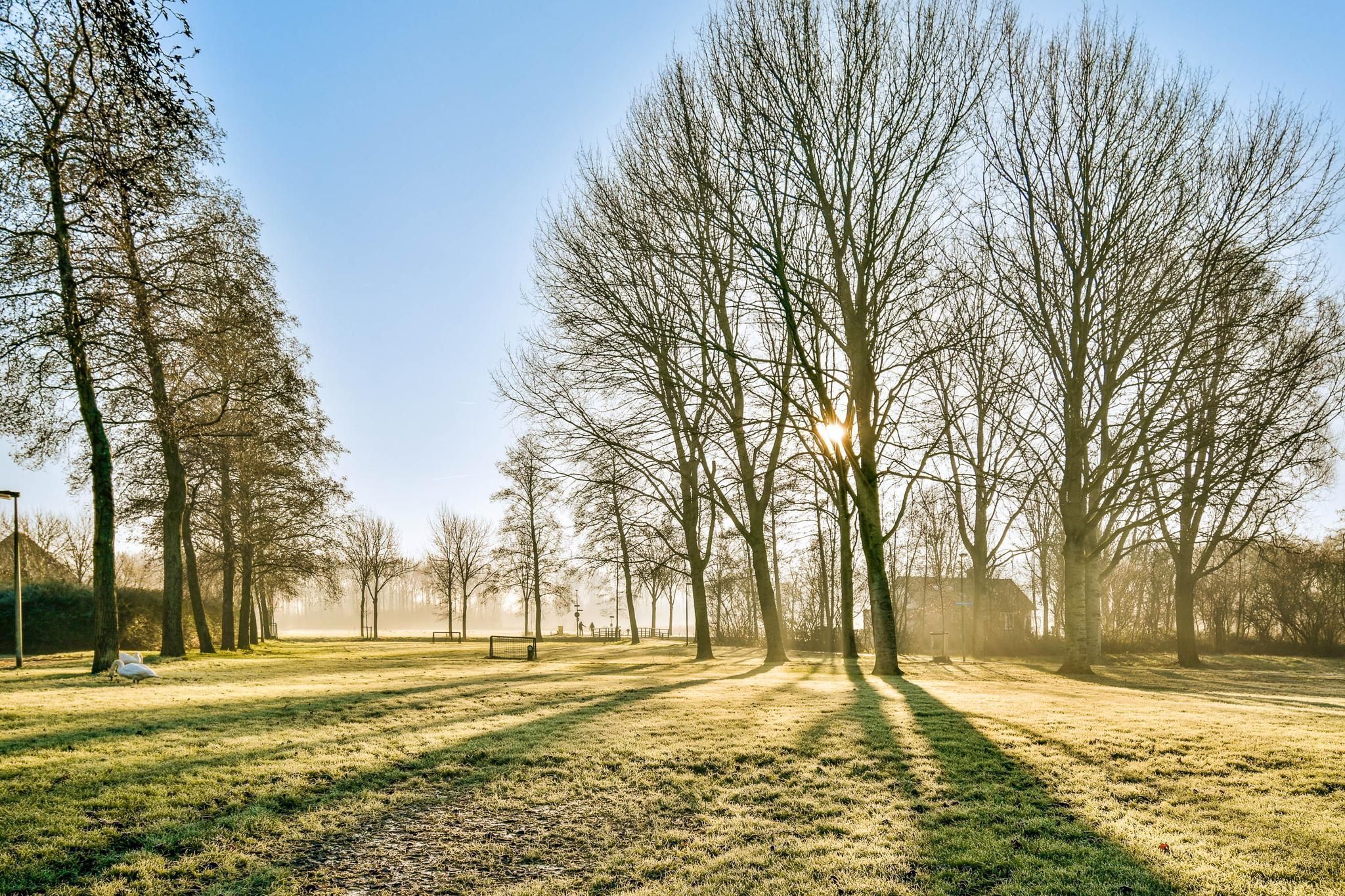 Opperbos 26 Photo Blur 32