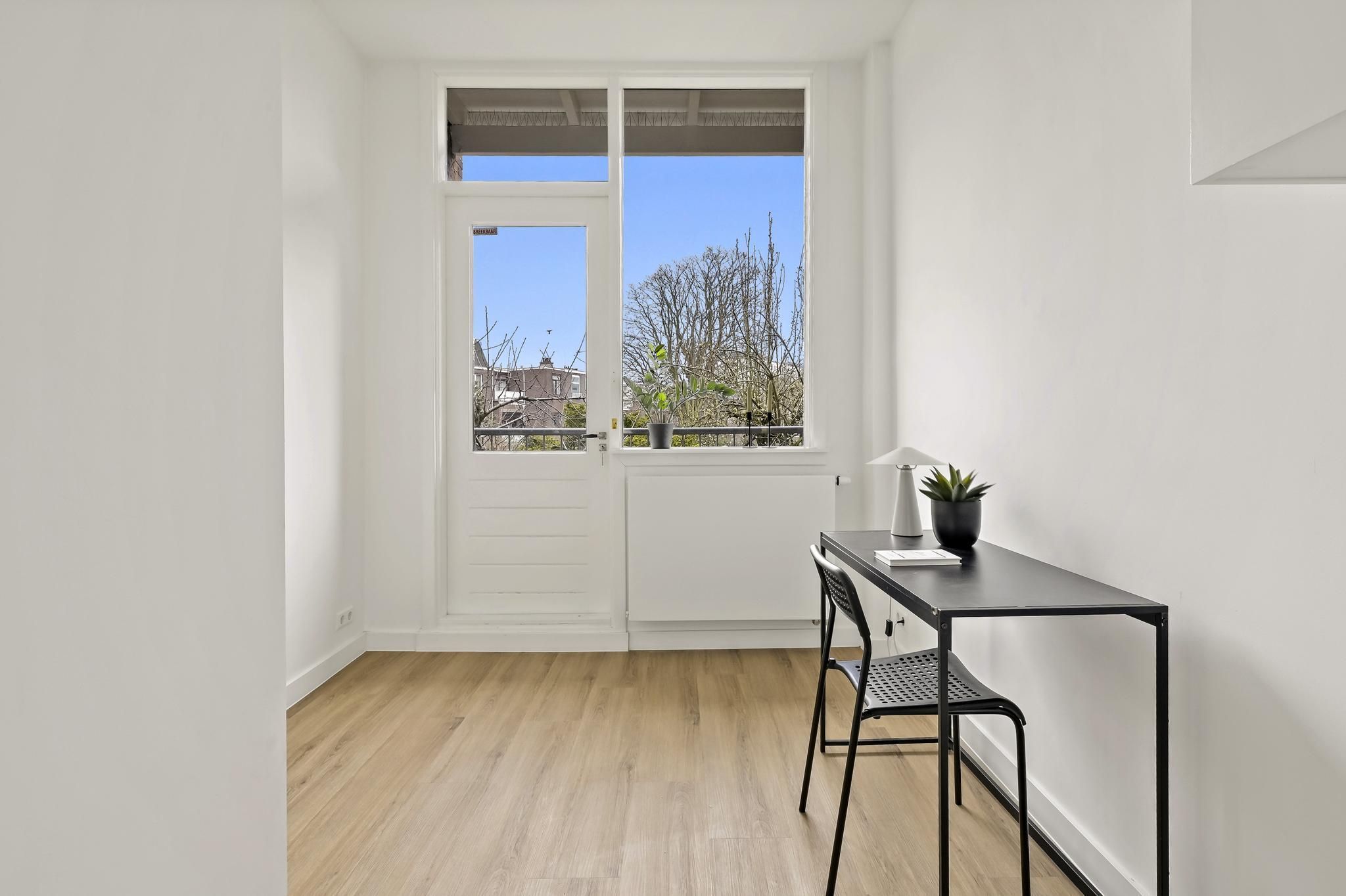 Johan van Hoornstraat 23 Photo Blur 16
