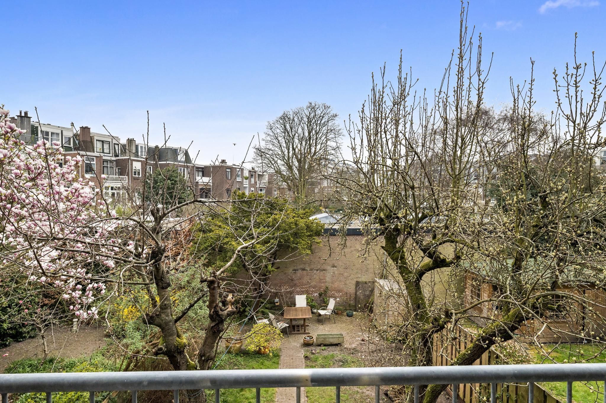 Johan van Hoornstraat 23 Photo Blur 18