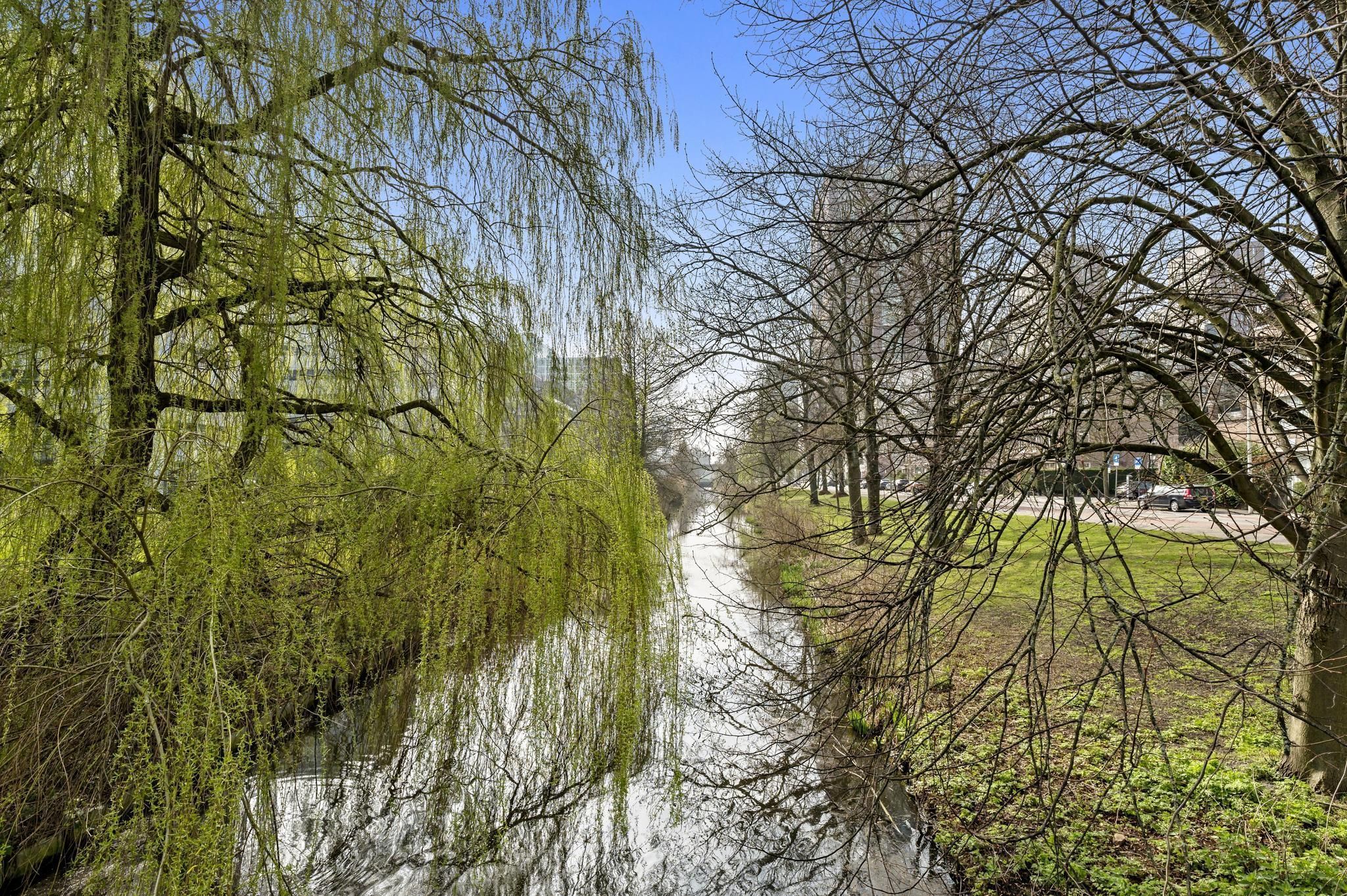 Johan van Hoornstraat 23 Photo Blur 32