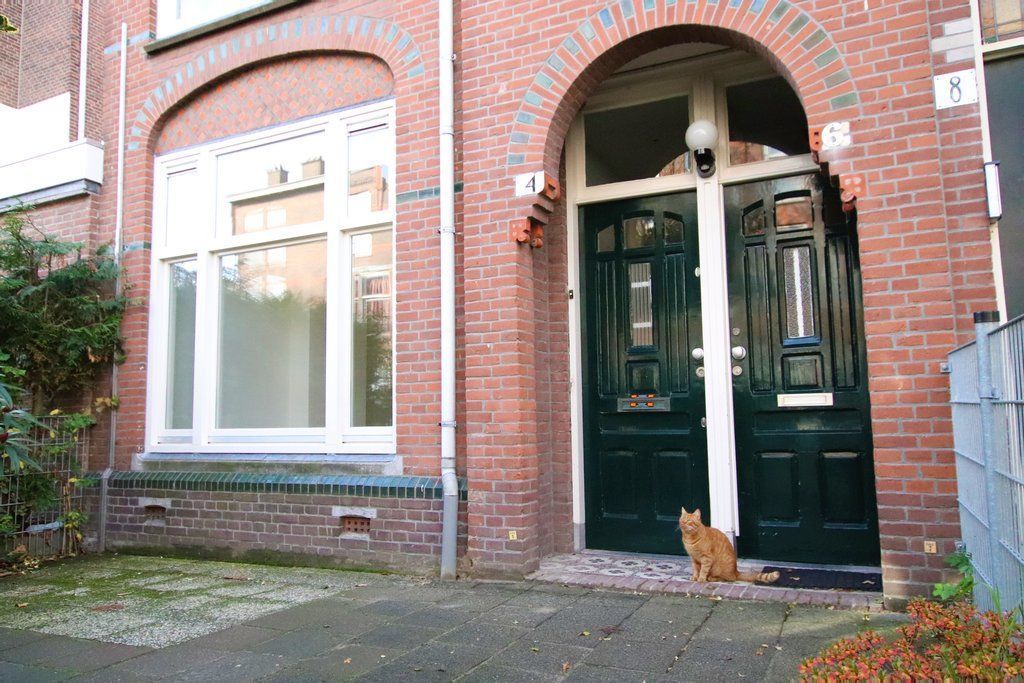Professor Kaiserstraat 4 Photo Blur 14