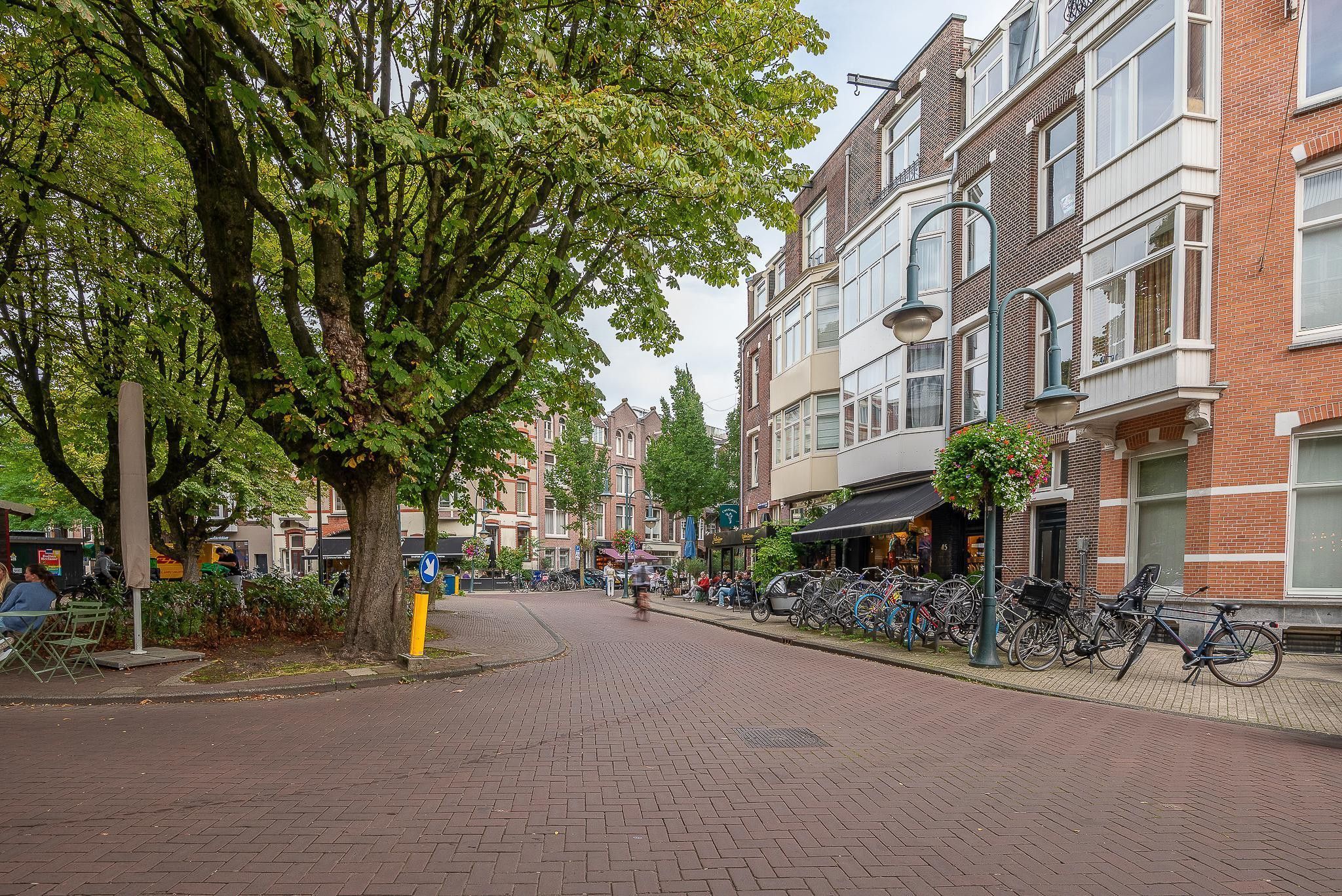 Johannes Verhulststraat 131B Photo Blur 31