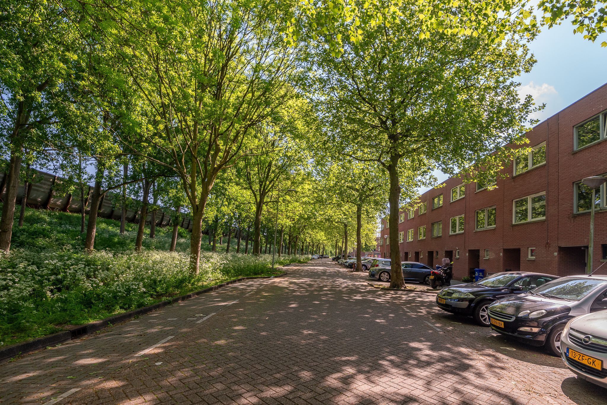 Lange Vonder 32 Photo Blur 25