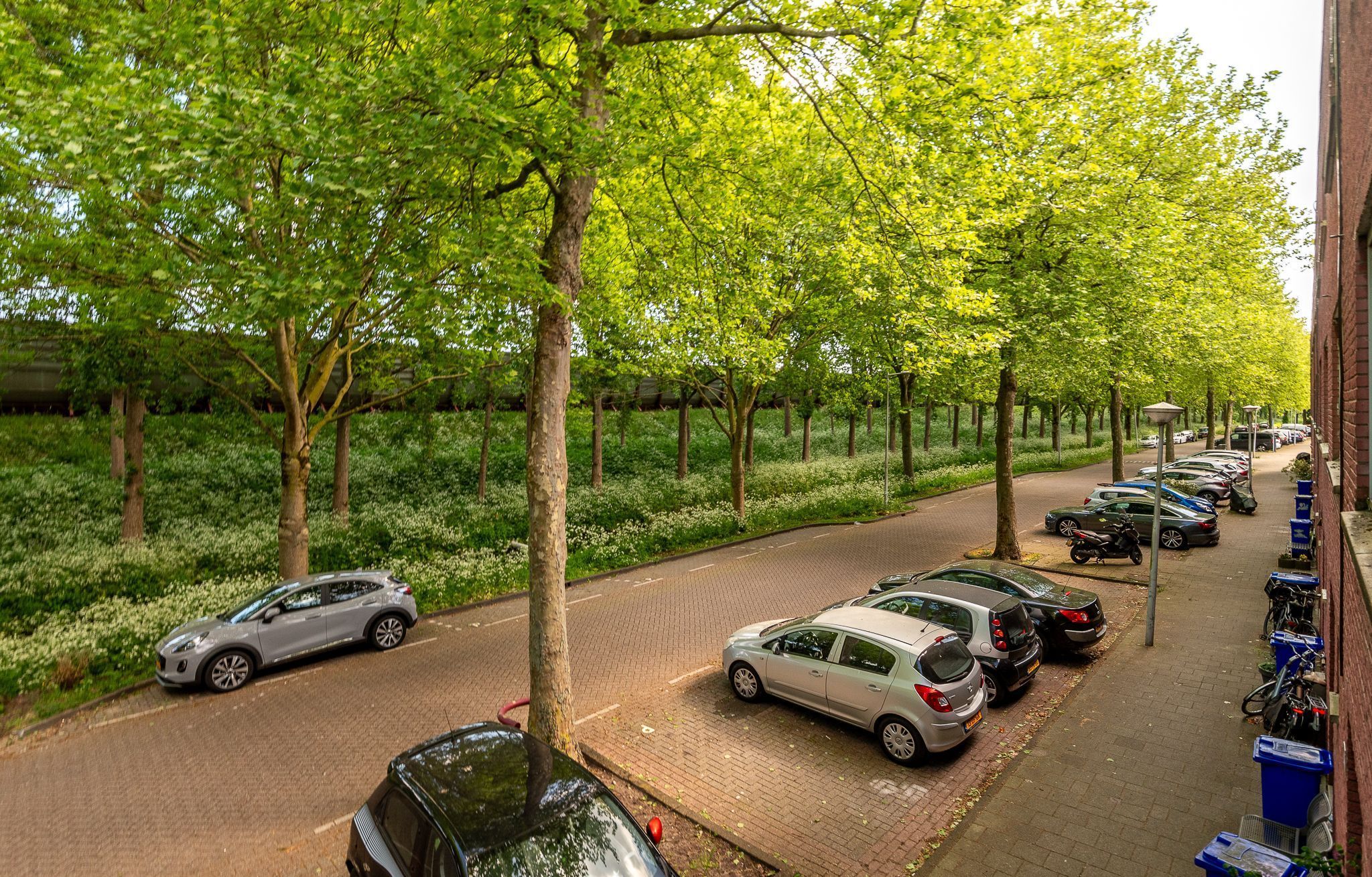 Lange Vonder 32 Photo Blur 30