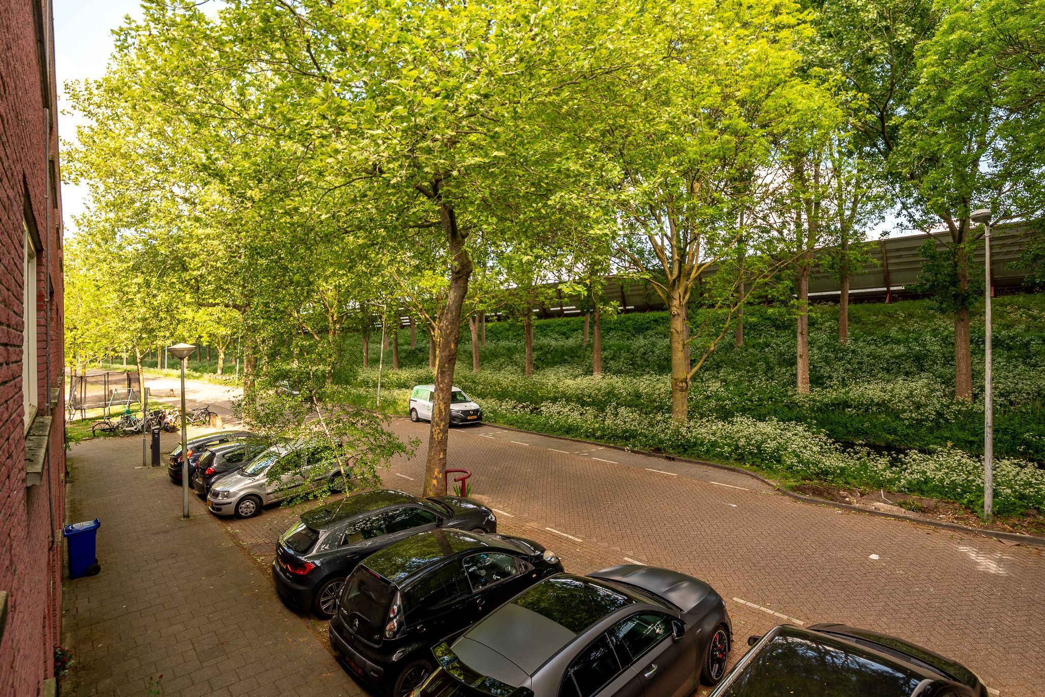 Lange Vonder 32 Photo Blur 31