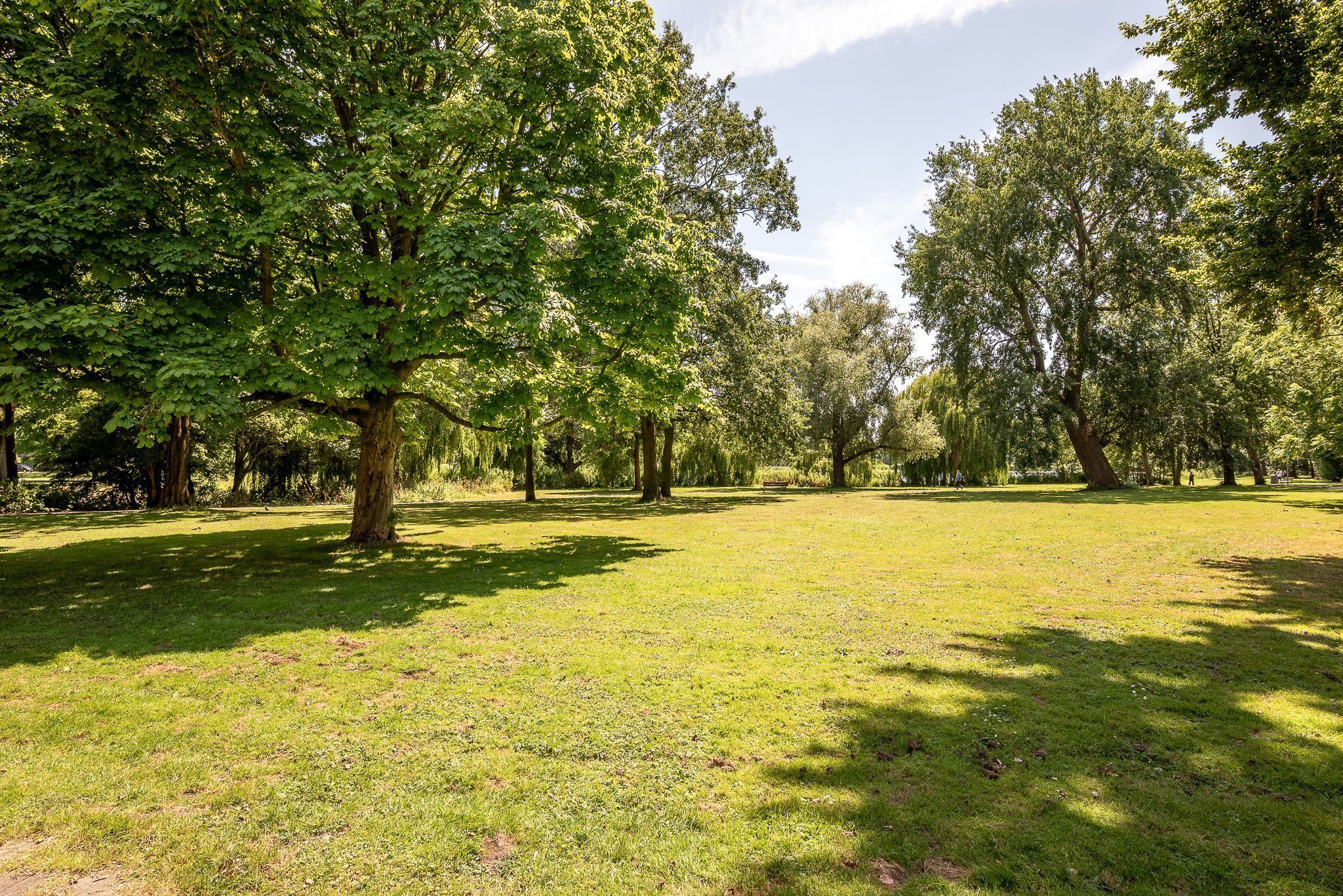 IJdoornlaan 261-V 3 Photo Blur 24