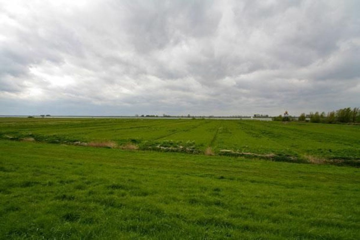 Koning Haakonstraat 1 Photo 12