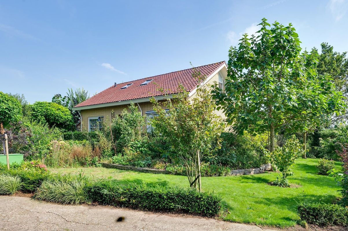 Platte Schenkel 3 Photo 11