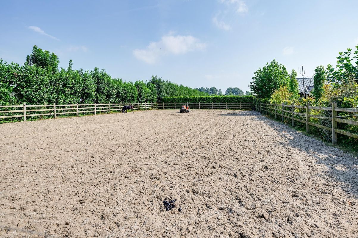Platte Schenkel 3 Photo 6