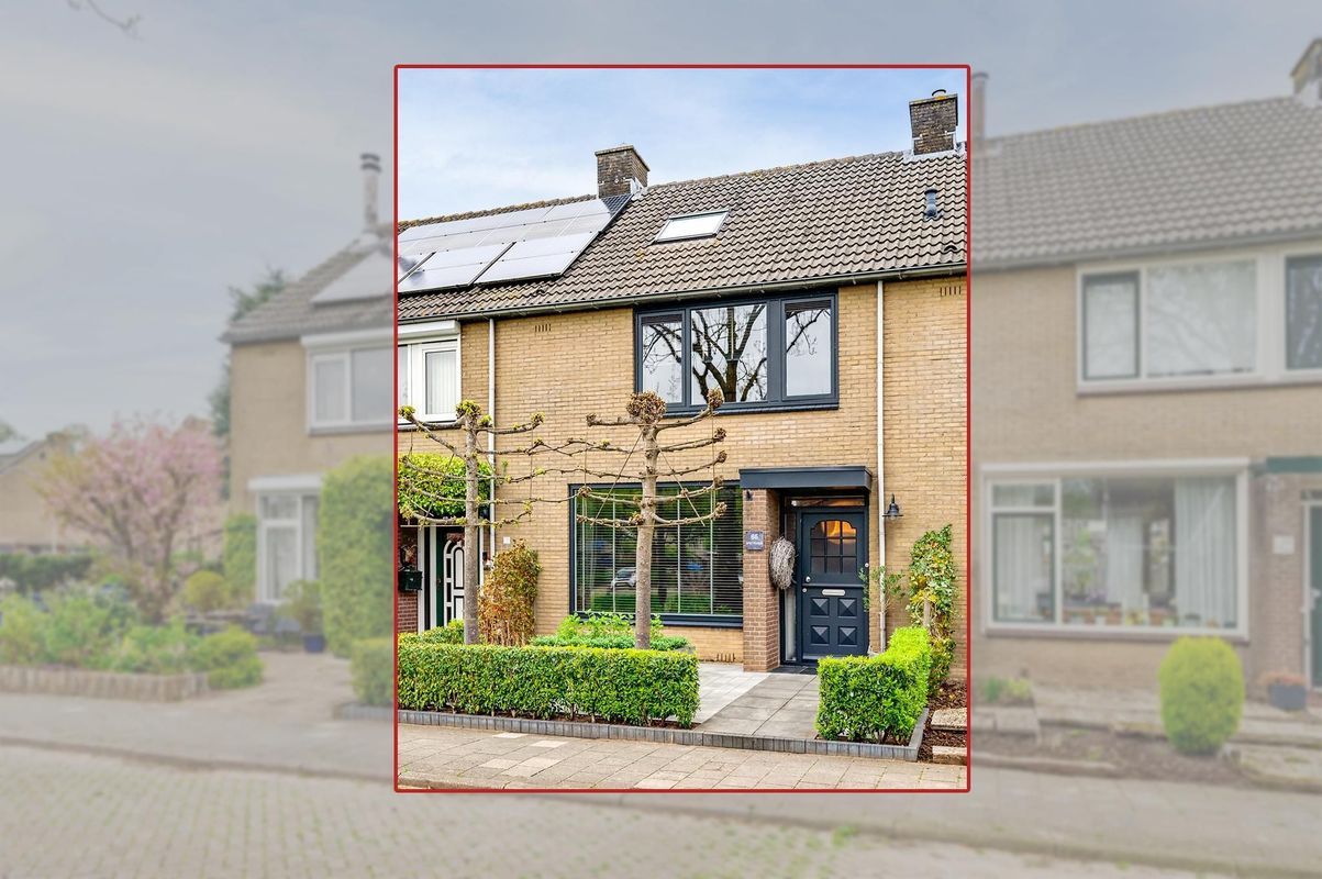 Singel 65 Photo 7